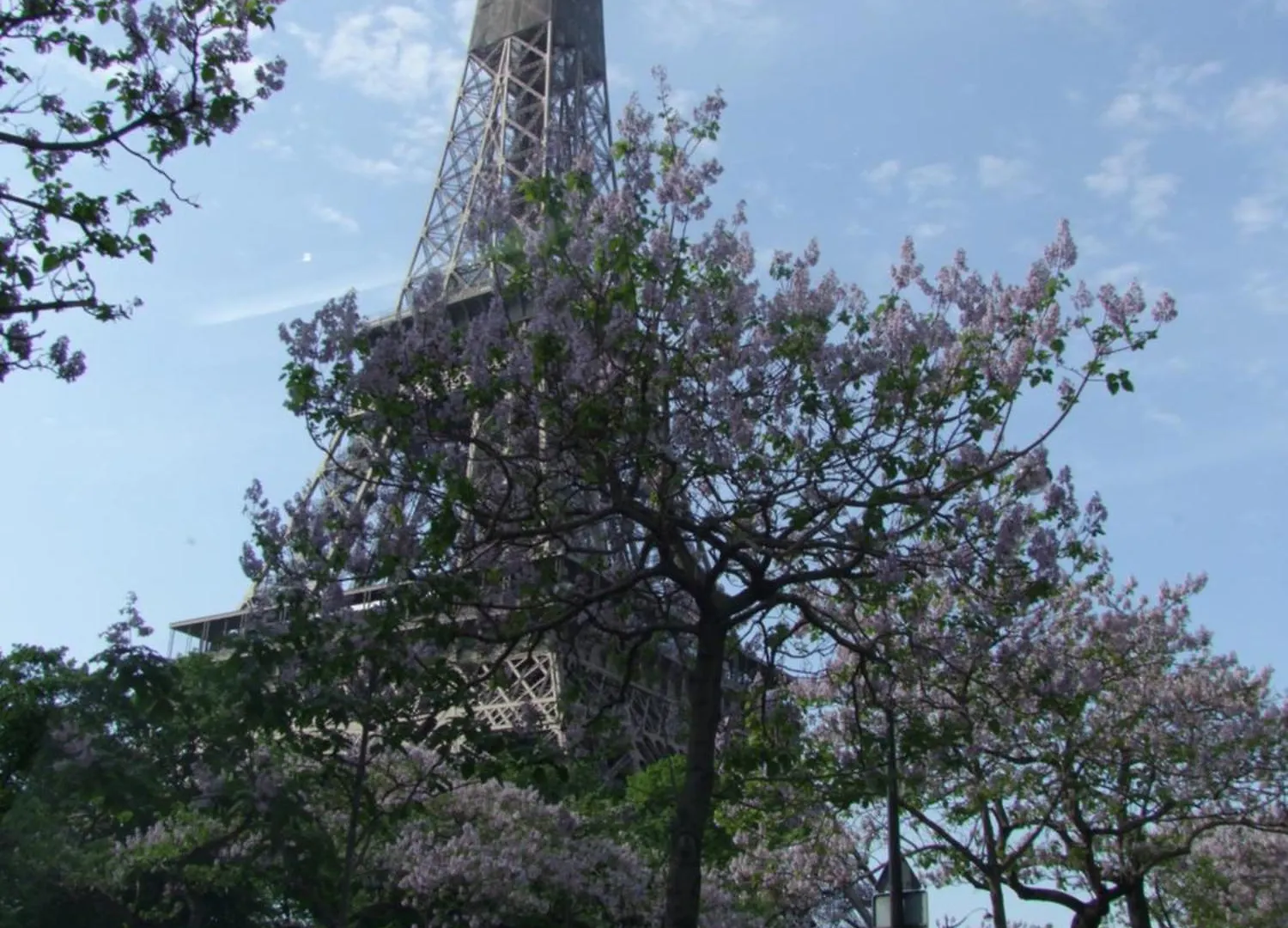 Plein Coeur De Paris Apartamento